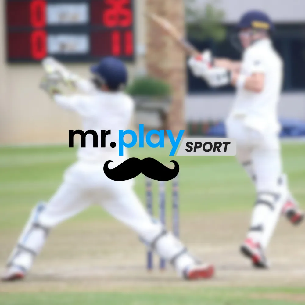 mr play bet on cricket